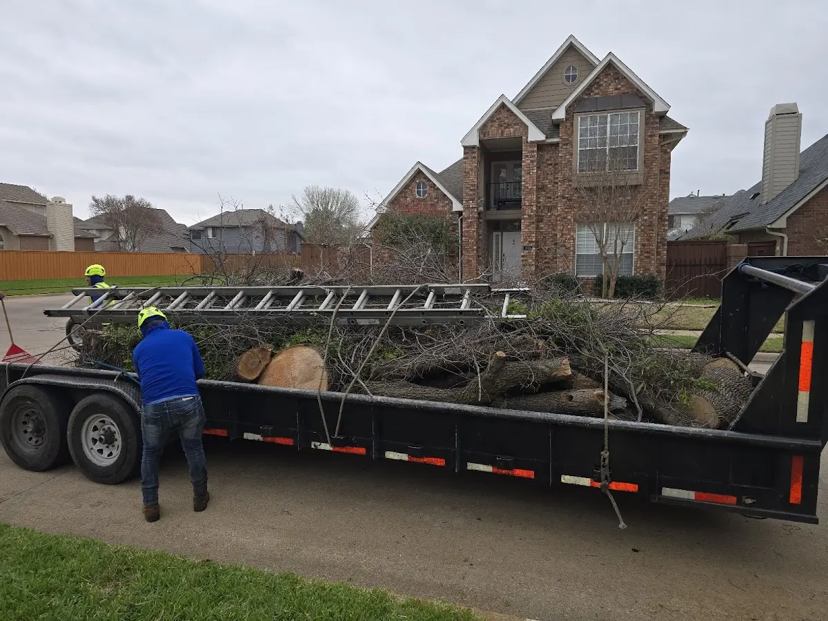 Expert Lot Clearing with proper safety equipment in Welda